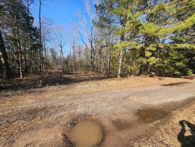 152 County Road 4247, Pittsburg, TX 75686 - photo 5