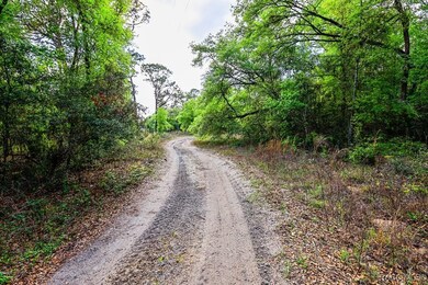 7451 W Rainbow St, Dunnellon, FL 34433 - photo 7