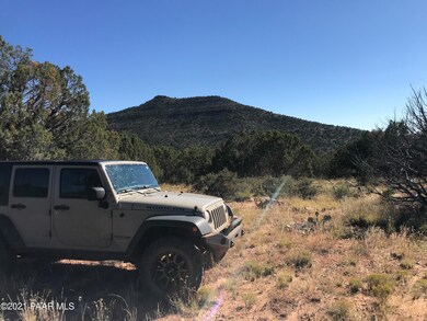 313d SW Deputy Shortline, Ash Fork, AZ 86320 - photo 4