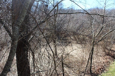 00 Eberly Dr, Summersville, WV 26651 - photo 3