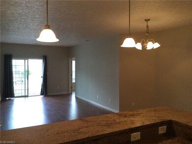 1008 Aqua Marine Blvd unit 46, Avon Lake, OH 44012 - photo 6