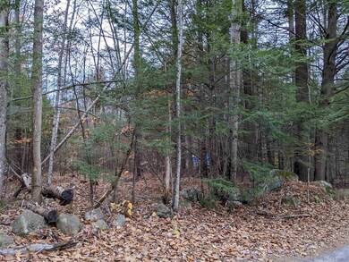 Lot 68E Maple St, Bridgewater, NH 03222 - photo 7