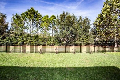 unlisted-address, Lithia, FL 33547 - photo 2