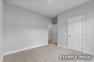 221 Pine Island Ave, Toney, AL 35773 - photo 7