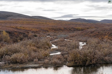 NHN Casadepaga River, Nome, AK 99762 - photo 7
