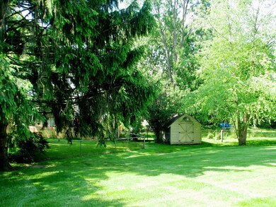 Rear Yard
