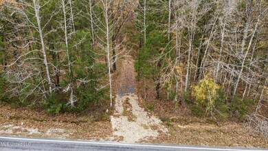 7 Wall Hill Rd Lot, Byhalia, MS 38611 - photo 7