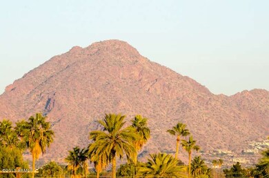 camelback view