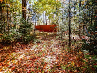 N16656 Dexter Rd, Beecher, WI 54156 - photo 5