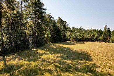 28+/- Acres-TBD Frank Cribb Rd, Georgetown, SC 29440 - photo 7