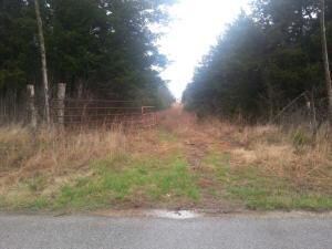 745 Hendrickson School Rd, Williams Township, MO 65747 - photo 2