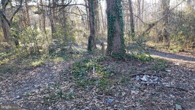 0 Dockser Dr unit MDSM168042, Mechanicsville, MD 20659 - photo 3