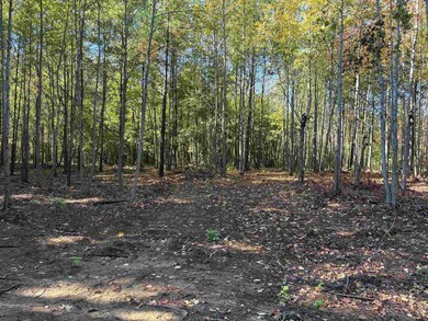 0 Bethuel Rd unit Lot 13, Unincorporated, TN 38053 - photo 6