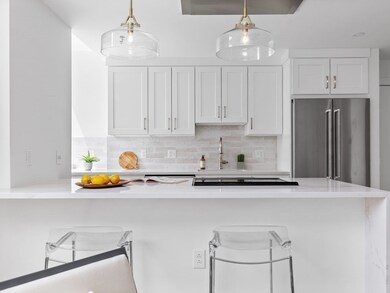 The Strada 234 unit 720, Boston, MA 02114 - photo 4