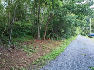 TBD Ridge St, Lovingston, VA 22949 - photo 4