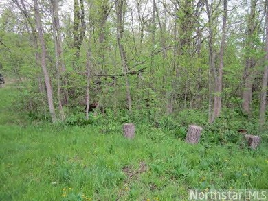 30159 State Road 35, Danbury, WI 54830 - photo 6