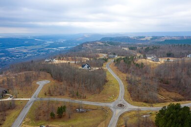 0 Hovering Hawk Dr unit 1329187, Jasper, TN 37347 - photo 6
