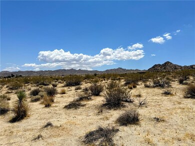 64100 Sullivan Rd, Joshua Tree, CA 92252 - photo 5