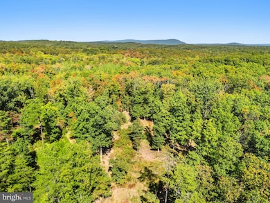 LOT 24L Bloomery Pike, Whitacre, VA 22625 - photo 6