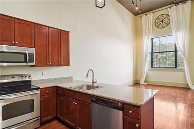 1201 Canal Apartments unit 251, New Orleans, LA 70112 - photo 5