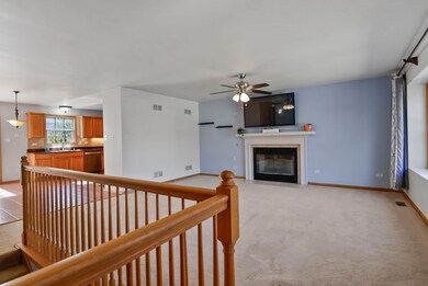 15595 97th Ln, Dyer, IN 46311 - photo 6