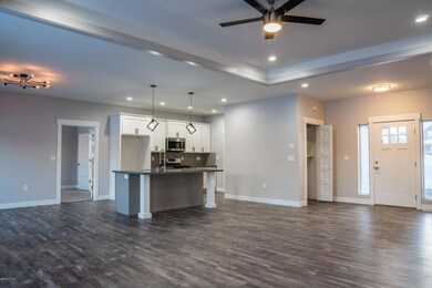 Living and entry door