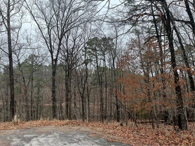 0 Avebury Ln unit 1239408, Bella Vista, AR 72714 - photo 4