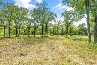 4201 Cr 801, Joshua, TX 76058 - photo 3