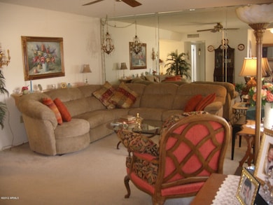 MIRRORED LIVING ROOM WALL