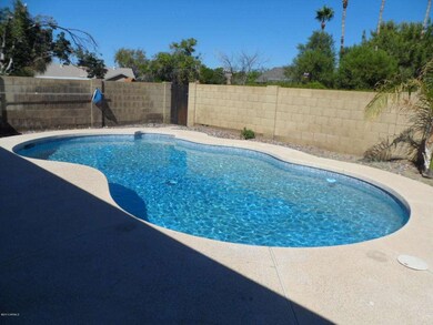 1118 W Stottler Dr, Chandler, AZ 85224 - photo 6