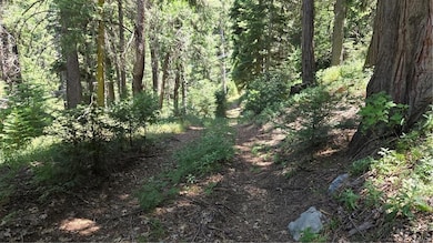 00987 Deer Run Rd, Cedarpines Park, CA 92322 - photo 3