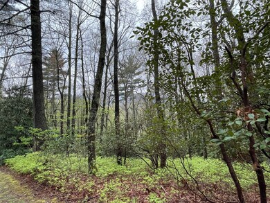 Lot 11 Cherokee Trace, Lake Toxaway, NC 28747 - photo 3