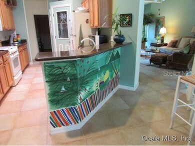 19515 SW 84th Place, Dunnellon, FL 34432 - photo 7