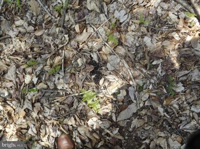 0 Big Spring Rd unit 1003964598, Doylesburg, PA 17219 - photo 3