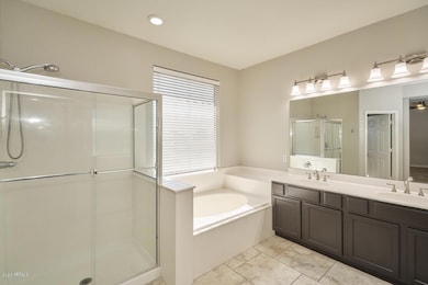 Master Bath (20)