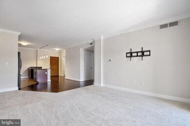 The Isabella At Monticello Mews unit 516, Alexandria, VA 22312 - photo 7