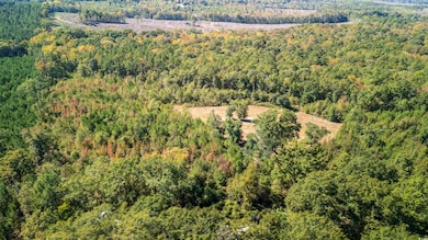 5760 Hugh Ryan Rd, Dalzell, SC 29040 - photo 6