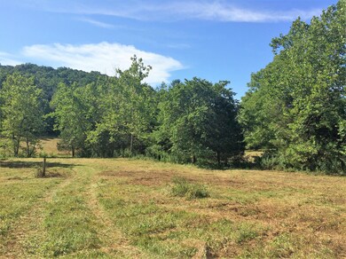 30 Ac. - Borden Grant Trail unit 706, Fairfield, VA 24435 - photo 7