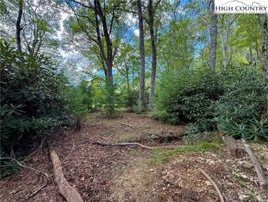 tbd Timber Rock Rd, Blowing Rock, NC 28607 - photo 7