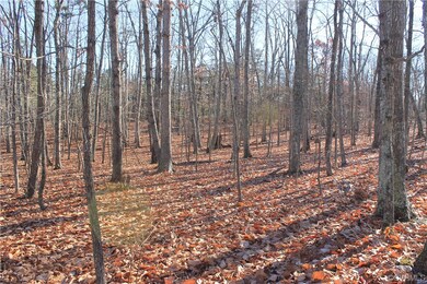View of local wilderness