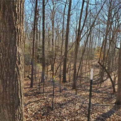 Lot A Lecroy Rd, Walhalla, SC 29691 - photo 6