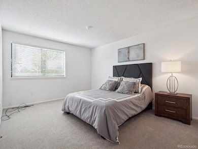 4371 S Andes Way unit 102, Aurora, CO 80015 - photo 6