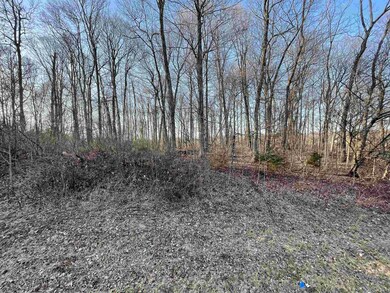 5080 (Lot 8) S Bridle Path Trail, Bloomington, IN 47403 - photo 7