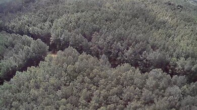 0 Moody Rd, Minden, LA 71055 - photo 7