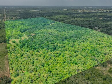 View of drone / aerial view