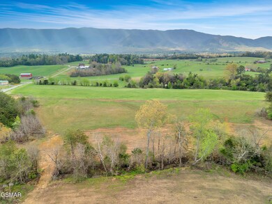 dji_0956