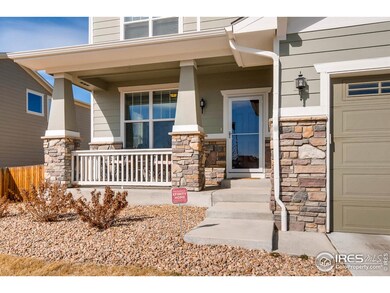 3883 Horiuchi St, Brighton, CO 80601 - photo 2