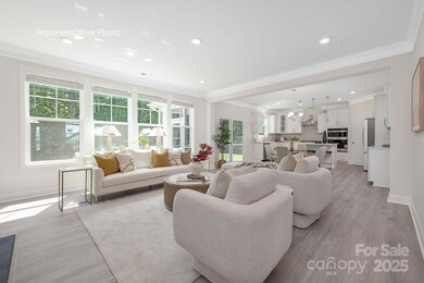 2046 Gallinule Dr, Indian Trail, NC 28079 - photo 2