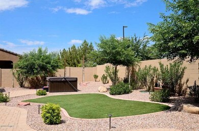 Backyard2