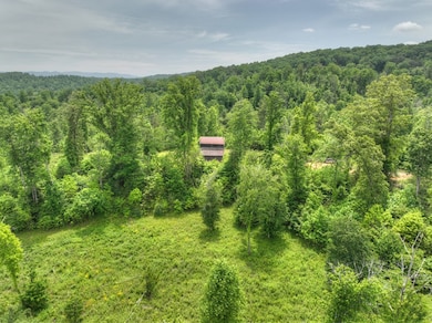 LOT 13 Hidden Acres, Blue Ridge, GA 30513 - photo 3